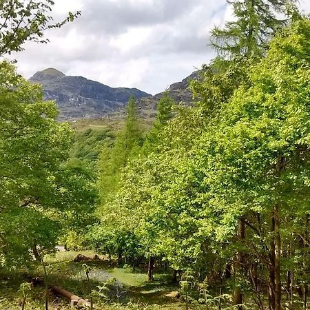 Mountain Walks Straight From The Doorstep Villa Blaenau Ffestiniog Eksteriør bilde