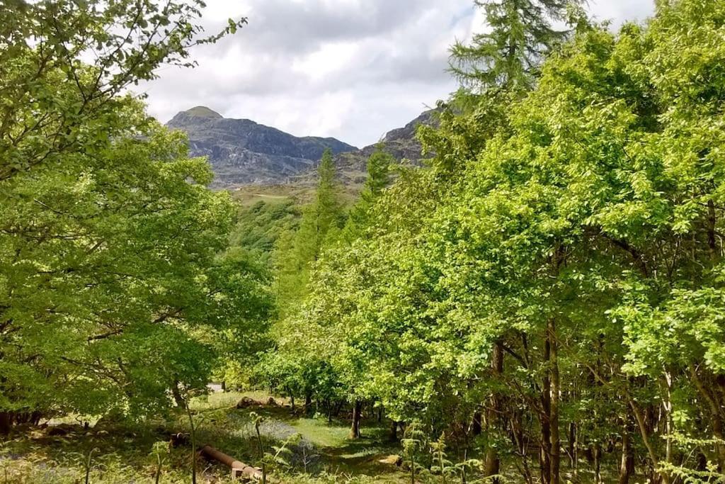 Mountain Walks Straight From The Doorstep Villa Blaenau Ffestiniog Eksteriør bilde